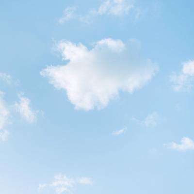 博鱼网页版官网登录