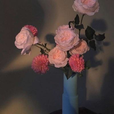 BET体育365投注官网